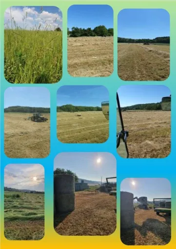 Semaine cultures, Vienne, La Ferme Guinet